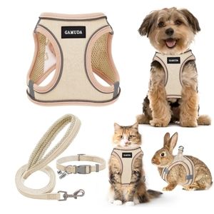 Harness Collar and Leash Set